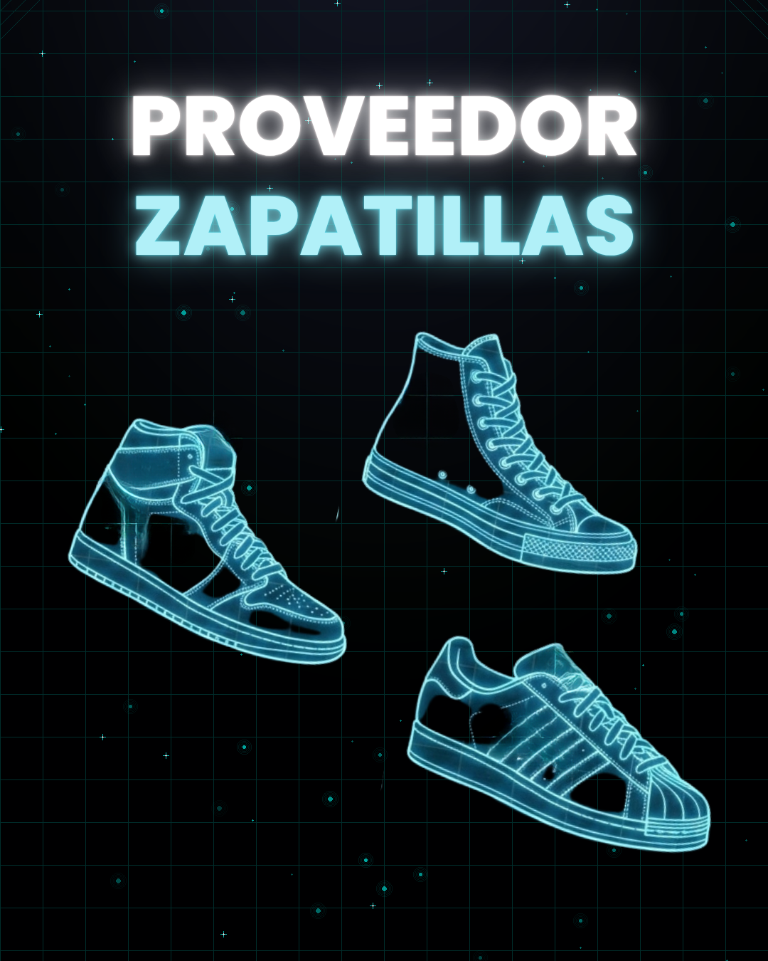 PROVEEDOR ZAPATILLAS